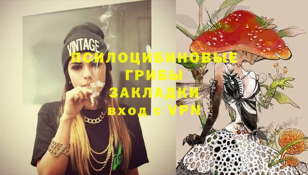 бошки Богородицк
