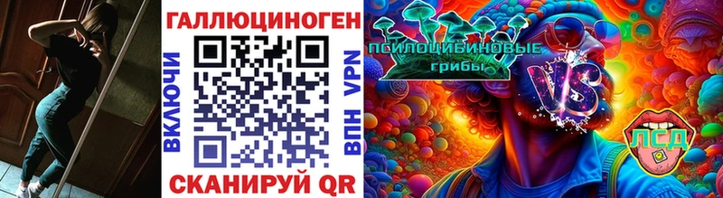 Псилоцибиновые грибы GOLDEN TEACHER  Калуга 